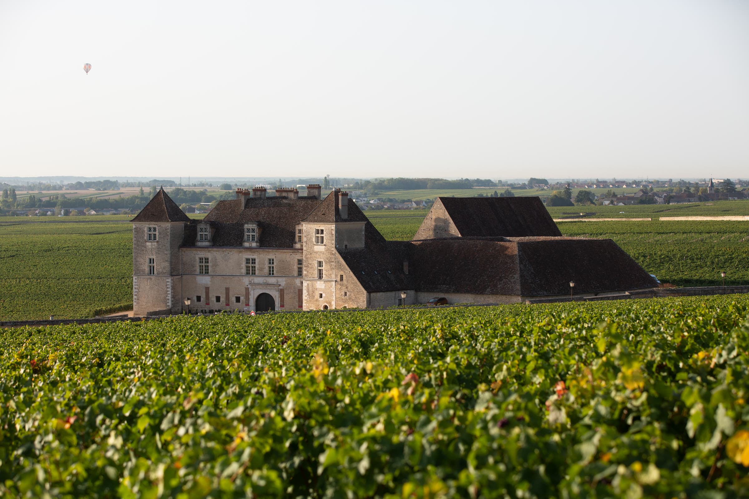 Château du Clos de Vougeot amid the Burgundy vines